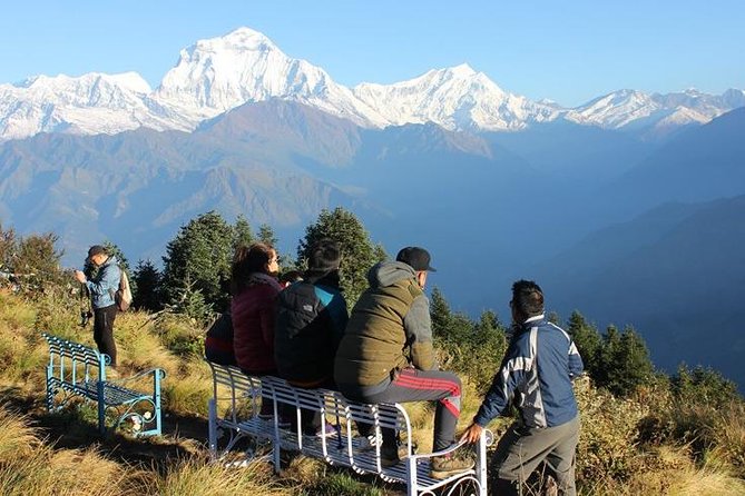 Annapurna Ghorepani Poon Hill Trek From Pokhara Short and Easy Hike in Himalaya - Customer Support and Assistance Details