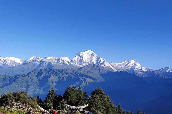 Annapurna Panorama View Trek