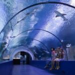 1 antalya aquarium admission with optional city tour and duden waterfall Antalya Aquarium Admission With Optional City Tour and Duden Waterfall