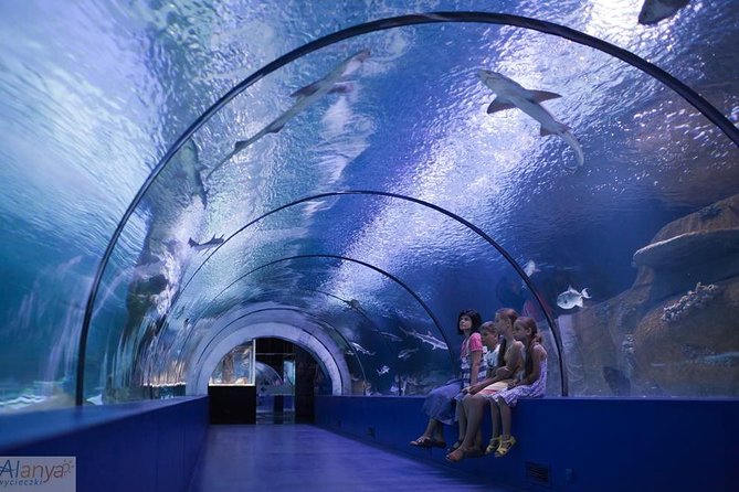 Antalya Aquarium Admission With Optional City Tour and Duden Waterfall