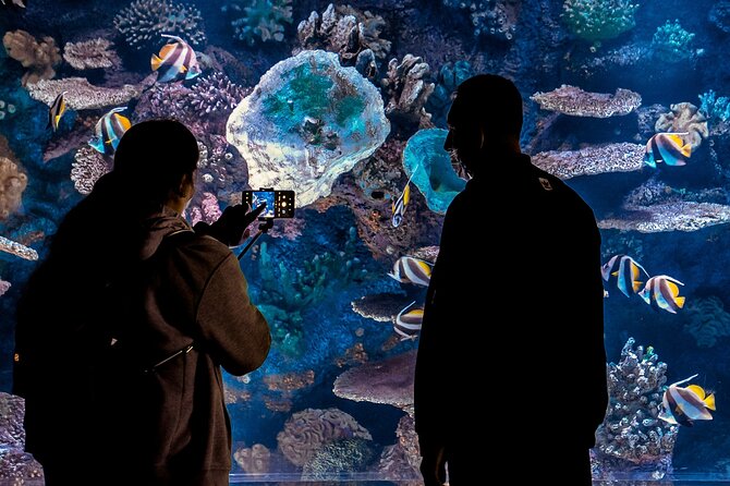 1 antalya aquarium full day trip Antalya Aquarium Full-Day Trip