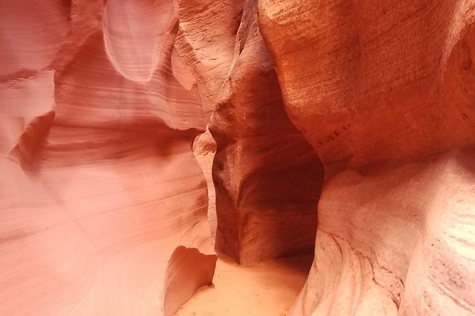 Antelope Canyon, Horseshoe Bend and Lake Powell Tour From Las Vegas - Booking Information