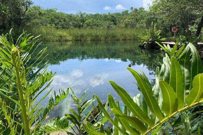 1 aqua wonder half day aquatic tour in tulum with snorkeling and meals AQUA WONDER (Half-Day AQUAtic Tour in Tulum With Snorkeling and Meals)