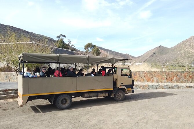 Aquila Safari From Cape Town, Hotel Pickup and Lunch Included