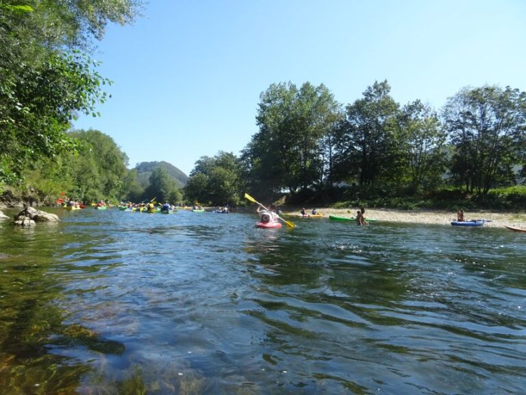 Arriondas: Canoeing Adventure Descent on the Sella River