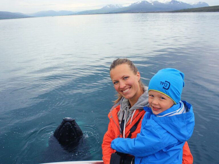 Árskógssandur: Whale-Watching Boat Trip