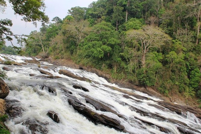 Athirappally & Vazhachal Waterfall Tour With Lunch