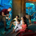 1 atlantis lost chamber aquarium dubai 2 Atlantis Lost-Chamber Aquarium Dubai