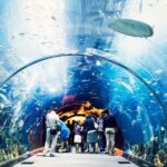 1 atlantis lost chamber aquarium dubai 3 Atlantis Lost-Chamber Aquarium Dubai