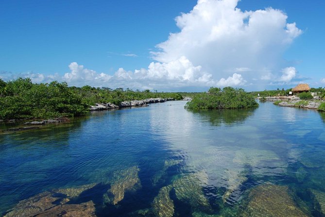 ATV Extreme and Snorkel Adventure From the Riviera Maya