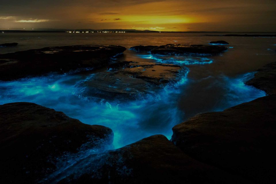 1 auckland bioluminescence kayak tour 2 Auckland: Bioluminescence Kayak Tour