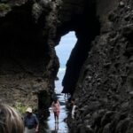 1 auckland city sightseeing and explore piha beach Auckland: City Sightseeing and Explore Piha Beach
