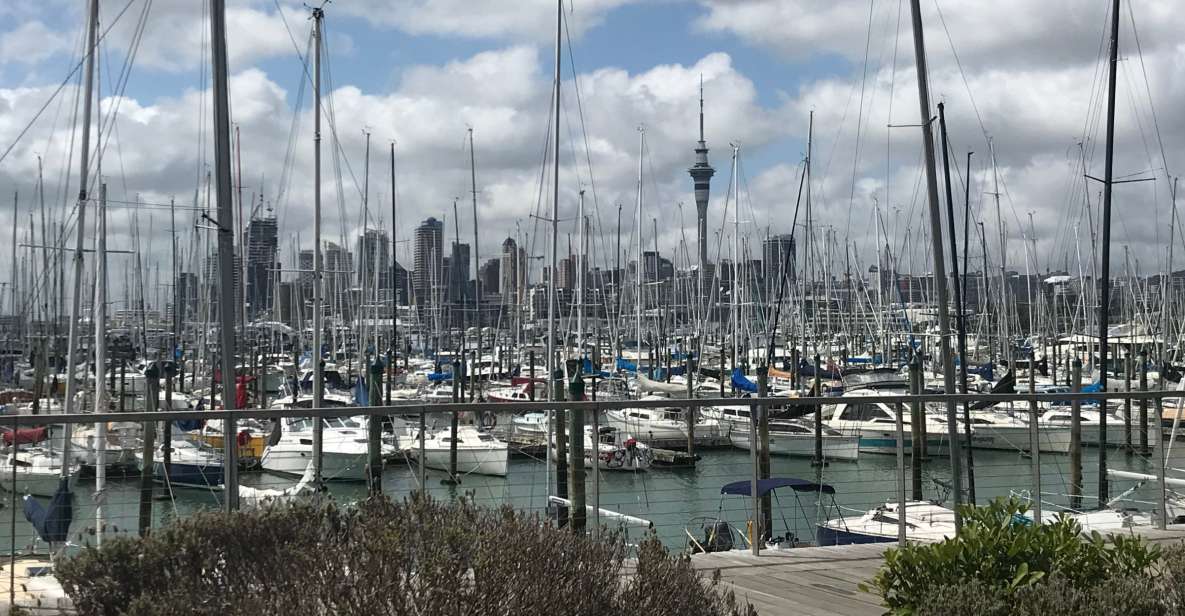 1 auckland half day private city highlights tour Auckland: Half-Day Private City Highlights Tour