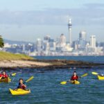 1 auckland half day sea kayak tour to motukorea island Auckland: Half-Day Sea Kayak Tour to Motukorea Island