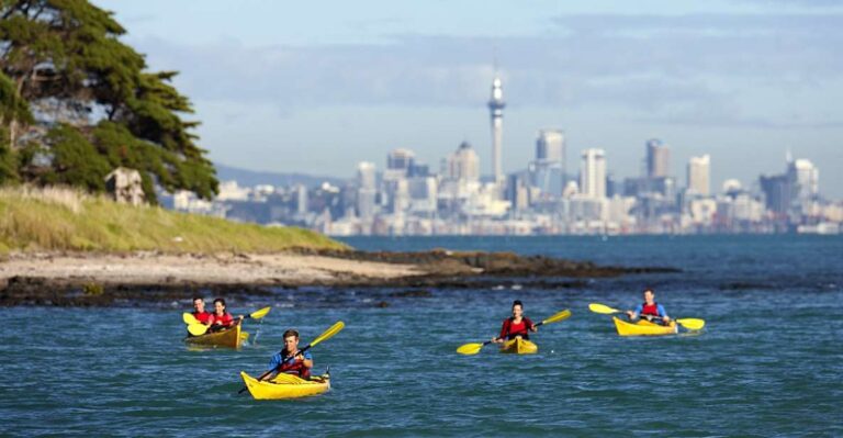 Auckland: Half-Day Sea Kayak Tour to Motukorea Island