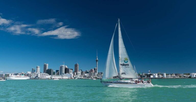 Auckland Harbour 1.5-Hour Sailing Cruise