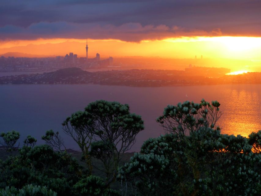 1 auckland sunset night sea kayak tour to rangitoto island Auckland: Sunset & Night Sea Kayak Tour to Rangitoto Island