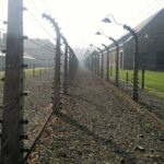 1 auschwitz and birkenau guided tour from krakow Auschwitz and Birkenau Guided Tour From Krakow