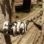 1 auschwitz birkenau complete private tour Auschwitz Birkenau: Complete Private Tour