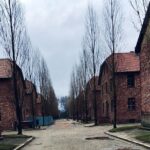 1 auschwitz birkenau guided tour with private transport from krakow Auschwitz-Birkenau Guided Tour With Private Transport From Krakow