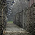 1 auschwitz birkenau tour from wroclaw 2 Auschwitz-Birkenau Tour From WrocłAw