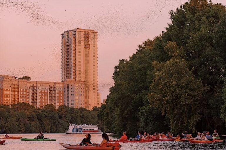 Austin: Sunset Bat Watching Kayak Tour