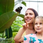 1 australian butterfly sanctuary 2 Australian Butterfly Sanctuary