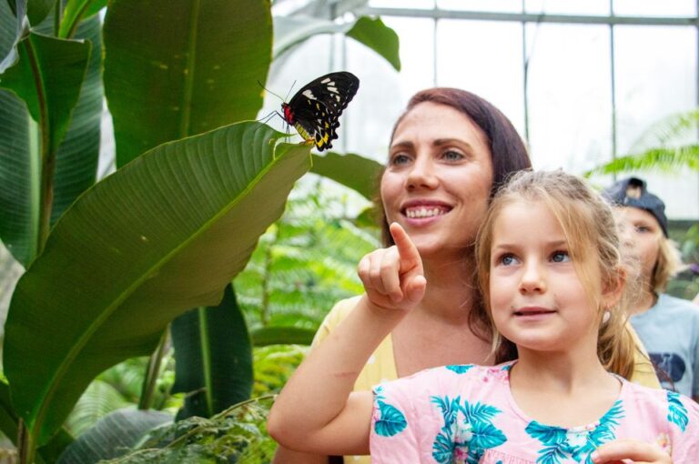 Australian Butterfly Sanctuary