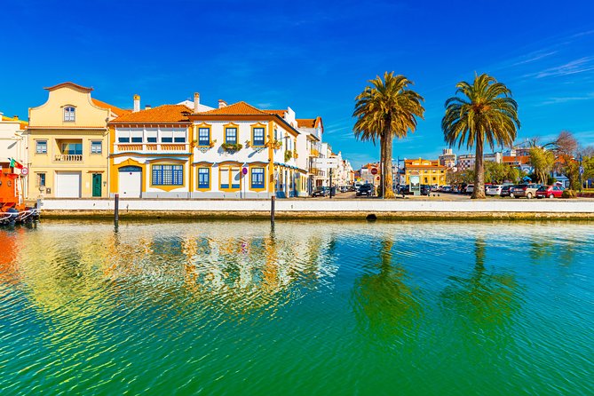 Aveiro Half-Day Tour With Moliceiro River Cruise From Porto