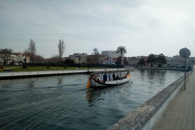 Aveiro Private Tour From Porto