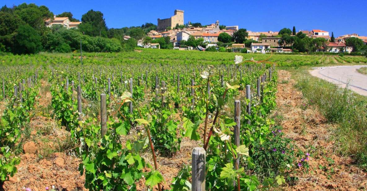 1 avignon full day wine tour around chateauneuf du pape Avignon: Full-Day Wine Tour Around Châteauneuf-Du-Pape