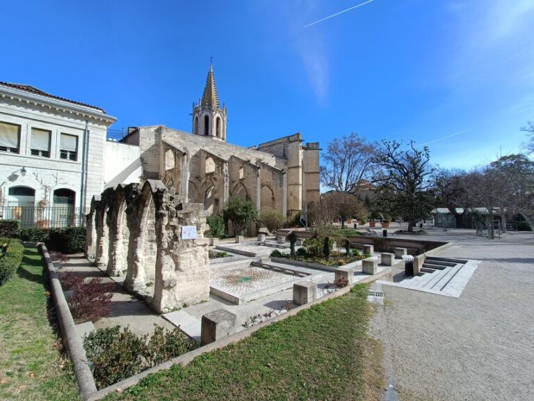 Avignon : Half-Day Walking Tour With Private Guide