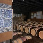 1 azeitao wines tour and stunning view lisbon Azeitão Wines Tour and Stunning View Lisbon