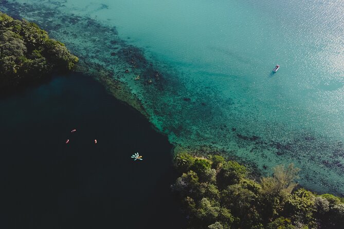 Bacalar Sunrise Stand up Paddle Board Tour With Breakfast