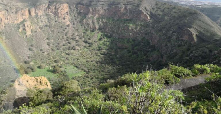 Bandama Caldera, Botanic Garden/Wine,Old Town From Las Palma