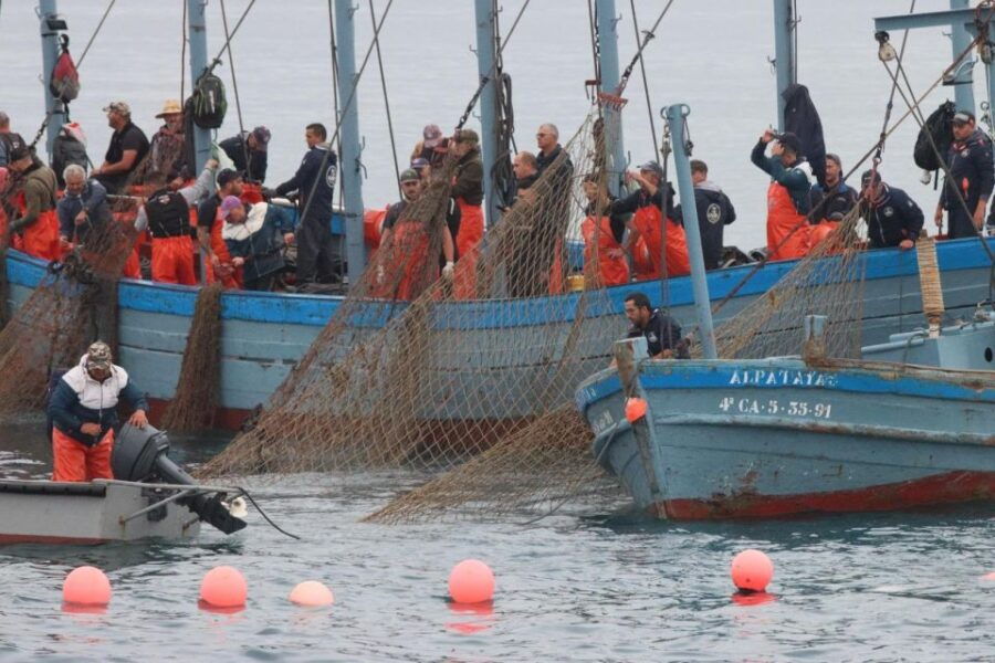 1 barbate boat tour to the almadraba of conil tuna fishing Barbate: Boat Tour to the Almadraba of Conil (Tuna Fishing)