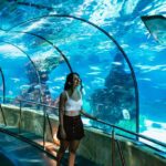 1 barcelona aquarium skip the line admission ticket Barcelona Aquarium: Skip-the-Line Admission Ticket