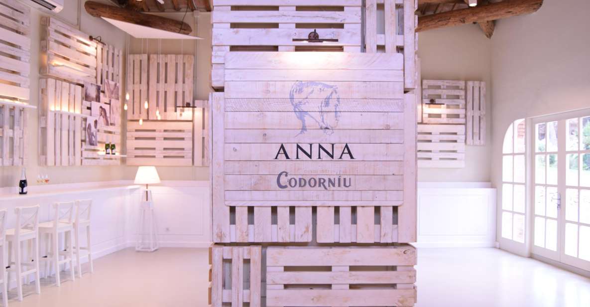 1 barcelona caves codorniu winery tour based on annas life Barcelona: Caves Codorniu Winery Tour Based on Anna's Life