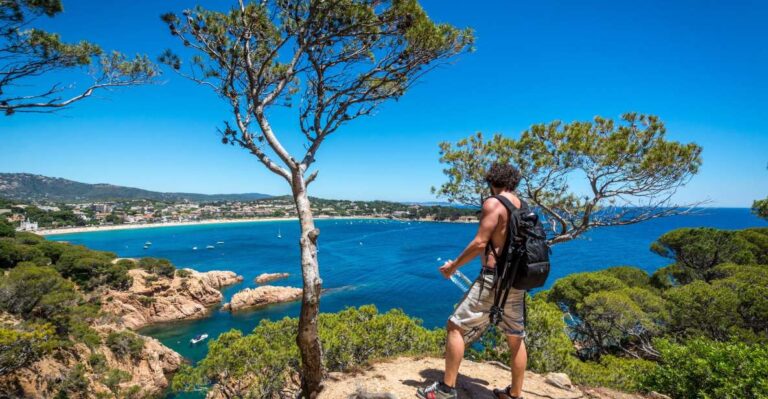 Barcelona: Costa Brava Hike, Snorkel & Cliff Jump With Lunch