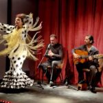 1 barcelona flamenco premium show and tour guitar museum Barcelona: Flamenco Premium Show and Tour Guitar Museum