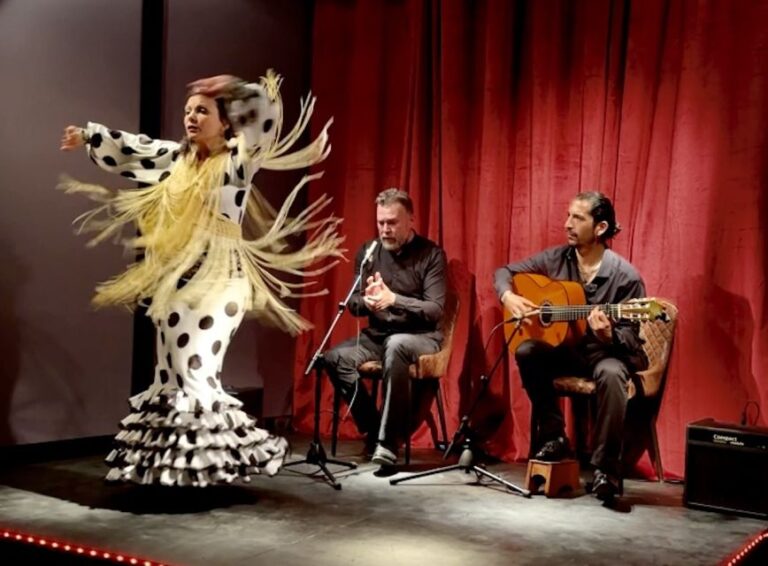 Barcelona: Flamenco Premium Show and Tour Guitar Museum