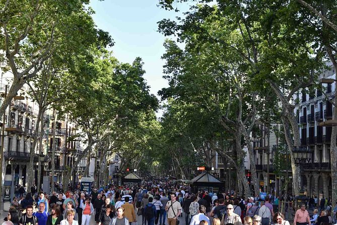 Barcelona Port Shore Excursion: Best Barcelona & Gaudi Masterpieces SkipTheLine