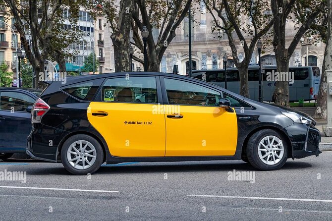 Barcelona Sants Train Station to City,Airport Private Transfer