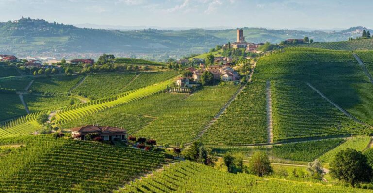 Barolo Winery Private Visit With Gourmet Lunch