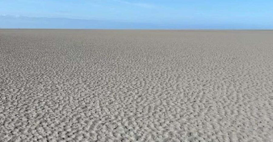 Bay of Mont Saint-Michel : Towards The Immensity