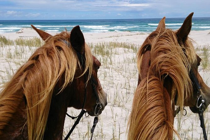 Beach Ride – Stanford