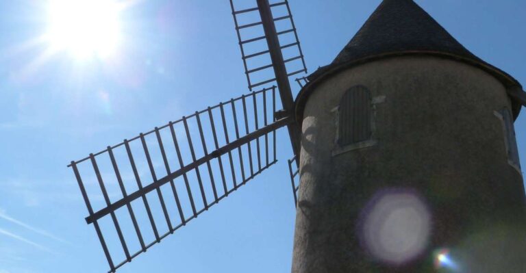 Beaujolais: Half-Day Wine Tour