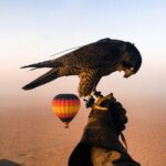 1 beautiful hot air balloon of dubai desert Beautiful Hot Air Balloon of Dubai Desert