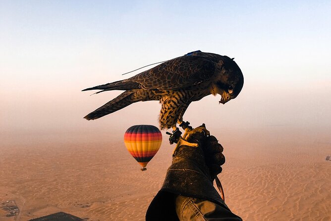 Beautiful Hot Air Balloon of Dubai Desert