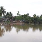 1 ben tre real mekong delta 1 day tour from ho chi minh city BEN TRE - Real Mekong Delta 1 Day Tour From Ho Chi Minh City